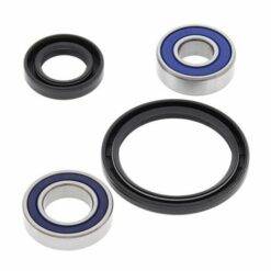 ALL BALLS WHEEL BEARING KIT (25-1048)