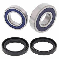 ALL BALLS WHEEL BEARING KIT (25-1689)