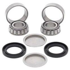 1986 -2009 Honda ATC250, GL1500,TRX250,500,VTX1800 Swing Arm Brg - Seal Kit