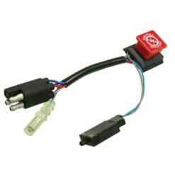 Kill Switches