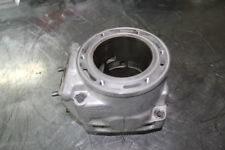 ARCTIC CAT F8 RE-PLATED CYLINDER