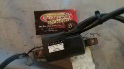 2002- 2005 Ski-Doo MXZ, Summit HO, GSX, GTX, 500SS Ignition Coil