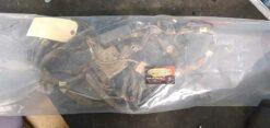 2013 Arctic Cat 500 Wiring Harness (for parts, missing connectors)