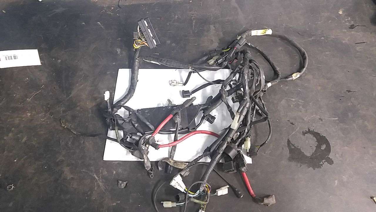 2005 RX WARRIOR,RX-1 Wire Harness Assembly - Image 2