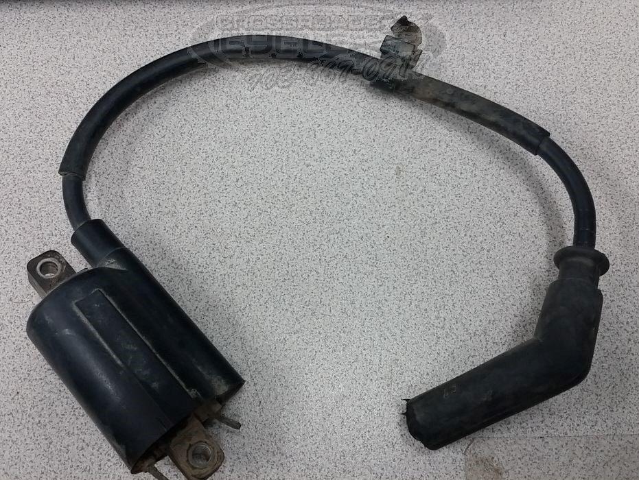 2008-2017 Yamaha Grizzly 550/700 Coil