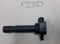2002-2008 Arctic Cat Panther/Bearcat/Turbo 660 Coil