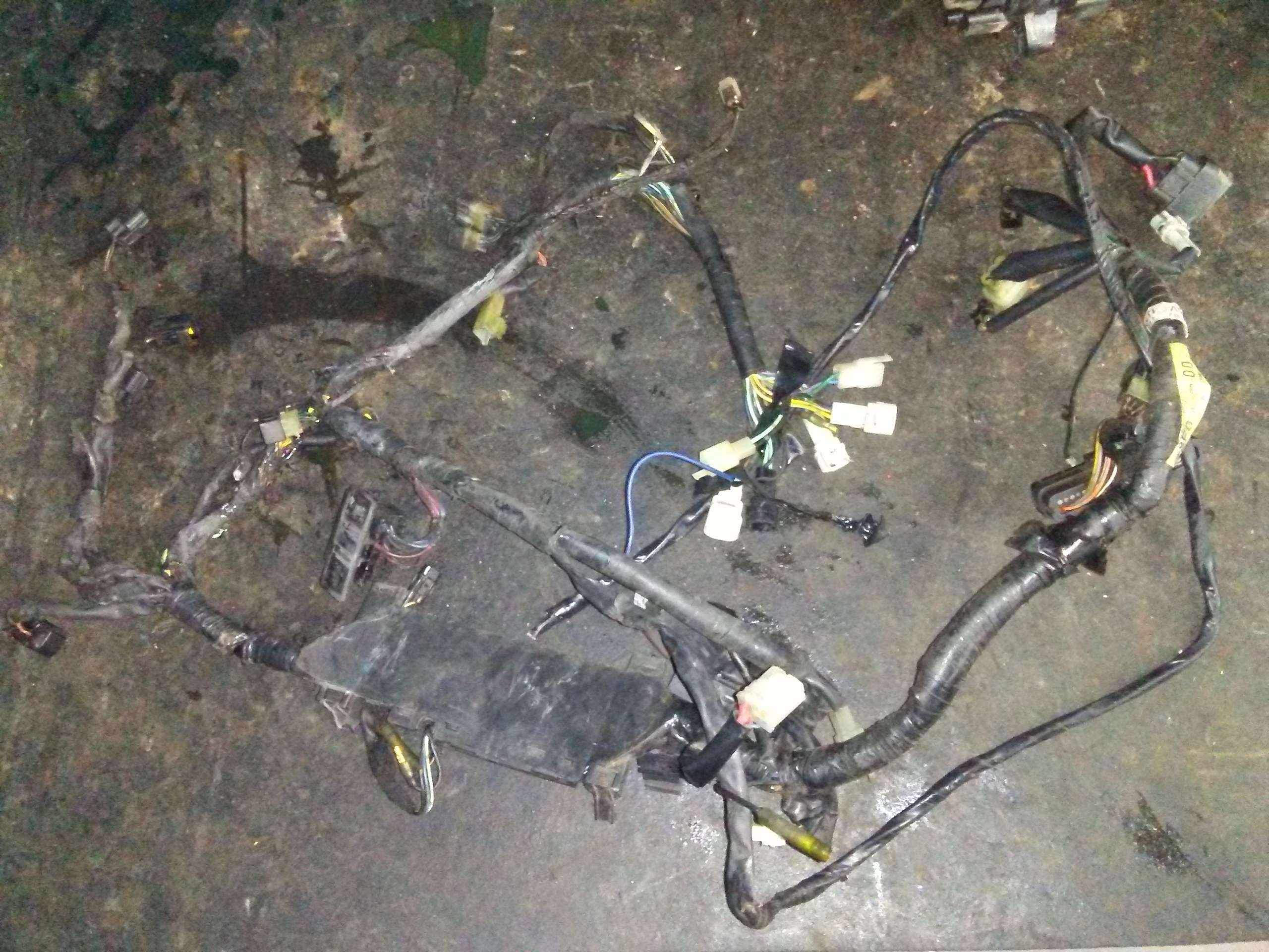2004 Yamaha RX-1 Main Wire Harness