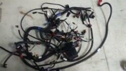 2012 - 2013 Ski Doo Expedition, Skandic Main Wire Harness