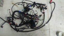 2012 - 2013 Ski Doo Expedition, Skandic Main Wire Harness  - Image 4