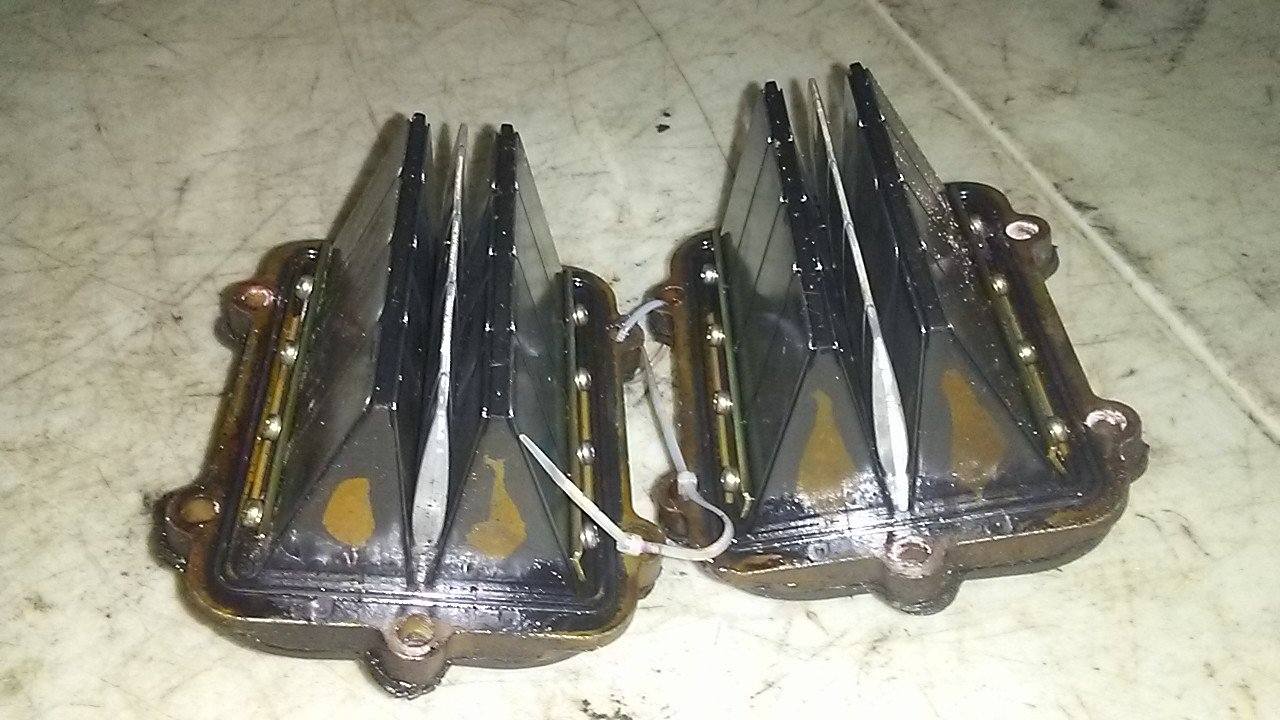 2005 - 2019 Polaris Fusion,Rmk,Switchback,Iq,Dragon Reed Valve (X2)
