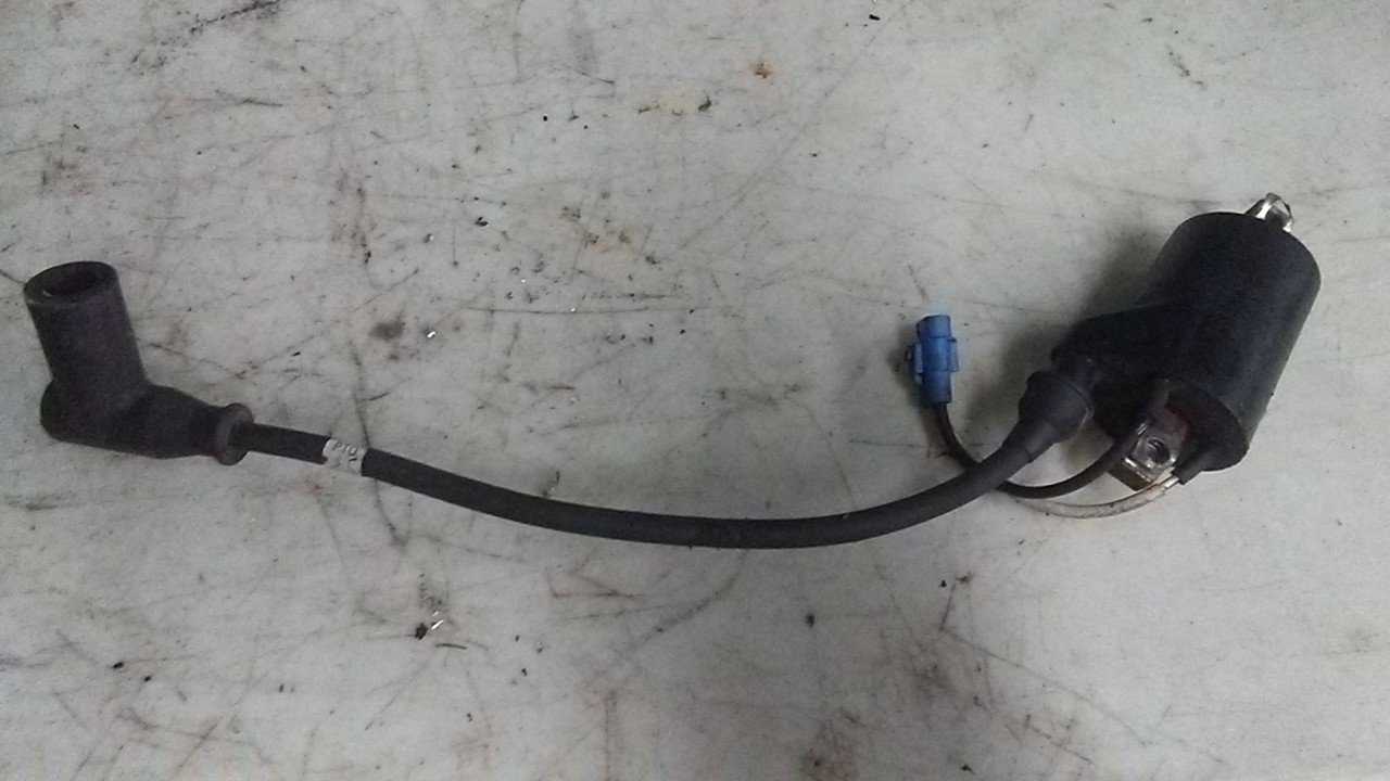2005 - 2006 Polaris Fusion,Rmk,Switchback,Classic Ignition Coil Ignition,Pto Side