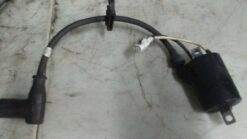 2005 - 2006 Polaris Fusion,Rmk,Switchback Ignition Coil Mag Side