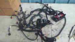 2005 Gsx,Gtx,Mxz Frame Main Wire Harness