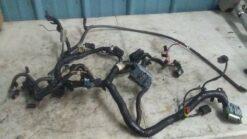 2008 Ski Doo Gsx,Mxz,Summit Main Wire Harness