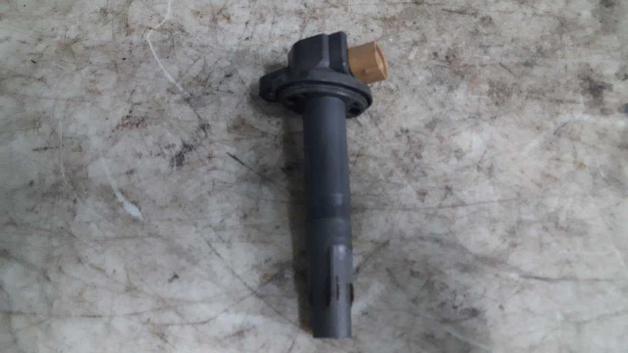 2009 - 2019 Ski Doo Gsx,Gtx,Mxz,Expedition,Renegade Stick Coil