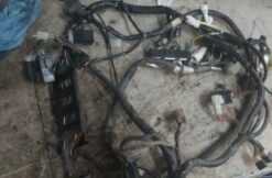 2003 Yamaha RX-1 Wire Harness