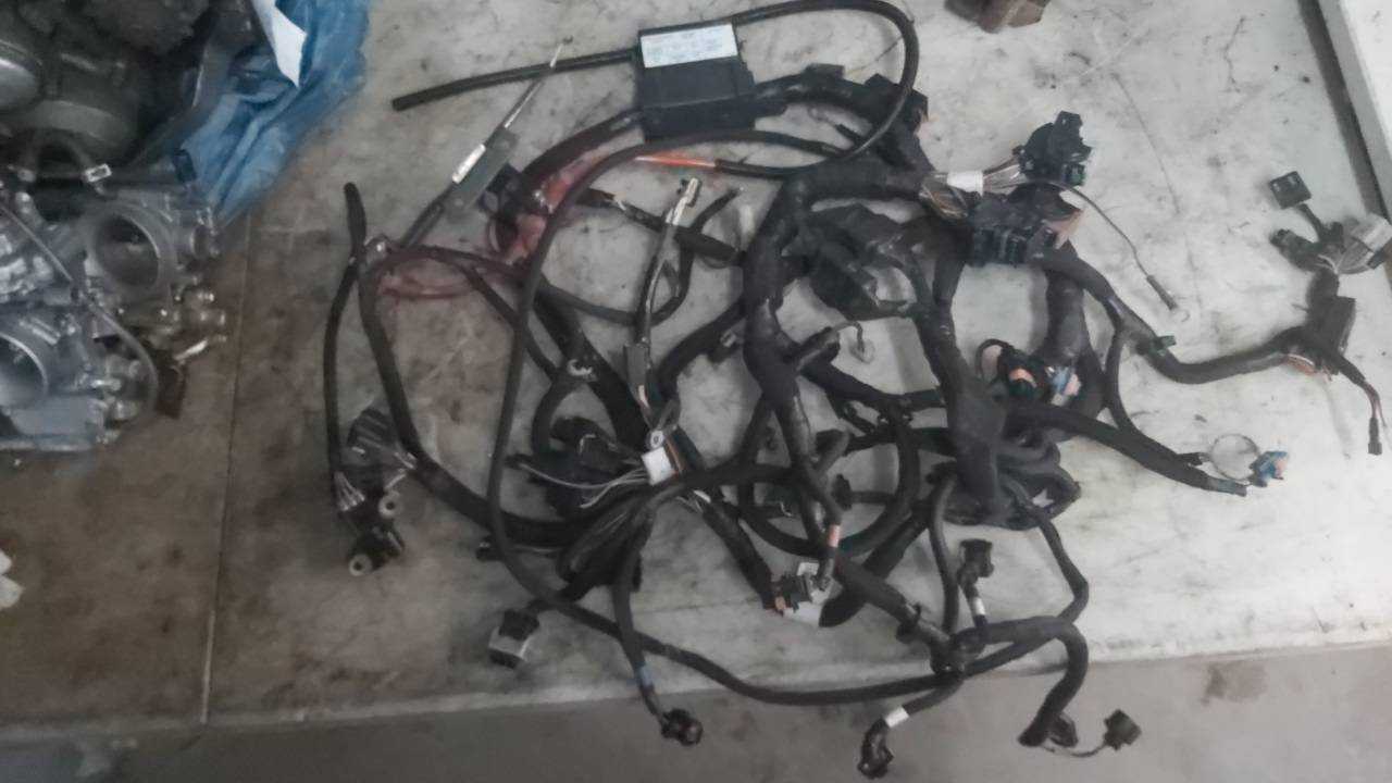 2007 - 2014 Polaris FS,FST,IQ,Turbo Main Wire Harness