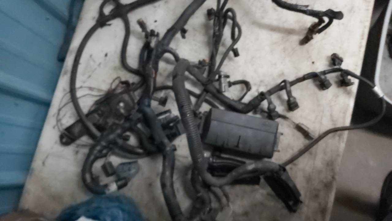 2006 - 2008 Ski Doo MXZ,GSX,GTX 600 HO SDI Main Wire Harness Assembly