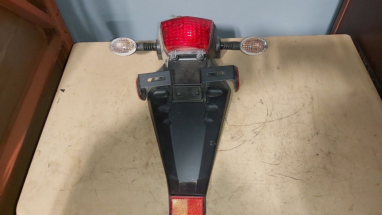 2009 - 2020 Kawasaki KLX 250 Taillight Assembly