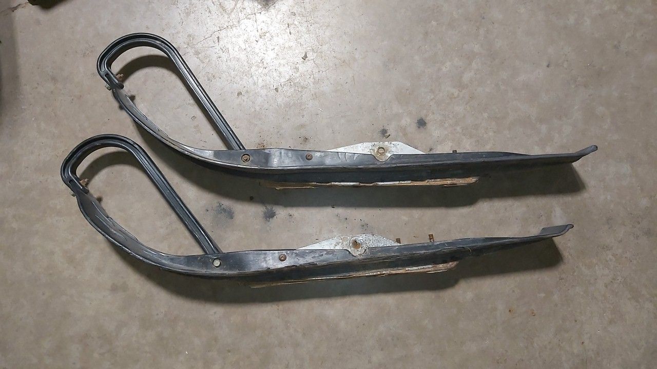 Skis Pair Black