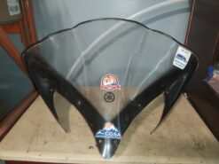 2007 YAMAHA APEX Windshield
