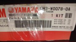 1999 - 2007 Yamaha Outboard 50HP,60HP,70HP CHROME PUMP KIT Repair Kit 2,3,4, 6H3-W0078-0A-00
