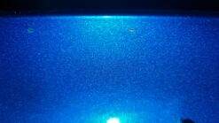 2006 - 2010 Honda Goldwing GL1800 Rear Trunk Lid Used - Image 3