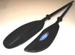 CARBON