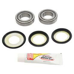 PW STEERING STEM BEARING KIT
