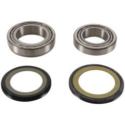 PW STEERING STEM BEARING KIT