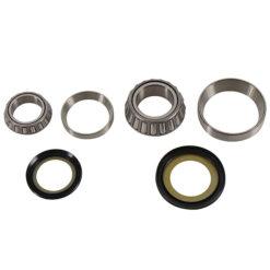 PW STEERING STEM BEARING KIT