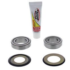 PW STEERING STEM BEARING KIT