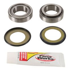 PW STEERING STEM BEARING KIT