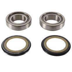 PW STEERING STEM BEARING KIT
