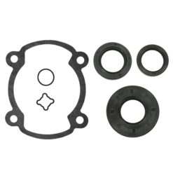 GASKET FULL SET 253 S/D ROTAX