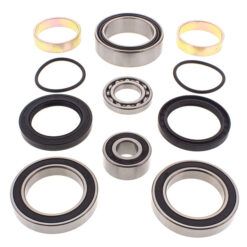 CHAIN CASE BEARING & SEAL KIT