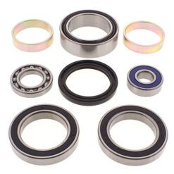 CHAIN CASE BEARING & SEAL KIT