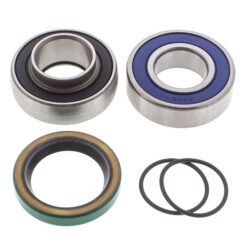 CHAIN CASE BEARING & SEAL KIT