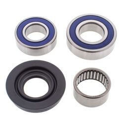 CHAIN CASE BEARING & SEAL KIT