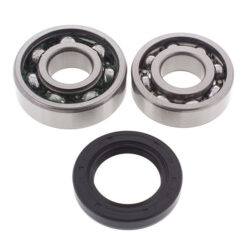 CHAIN CASE BEARING & SEAL KIT