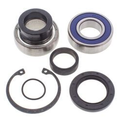 CHAIN CASE BEARING & SEAL KIT