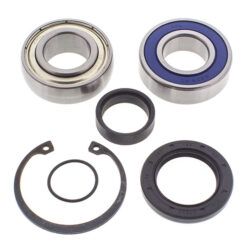 CHAIN CASE BEARING & SEAL KIT