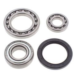 CHAIN CASE BEARING & SEAL KIT