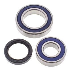 CHAIN CASE BEARING & SEAL KIT 14-1044