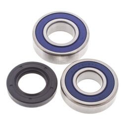 CHAIN CASE BEARING & SEAL KIT