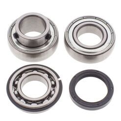 CHAIN CASE BEARING & SEAL KIT