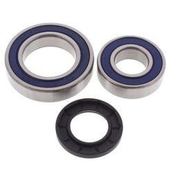 CHAIN CASE BEARING & SEAL KIT