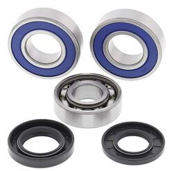 CHAIN CASE BEARING & SEAL KIT