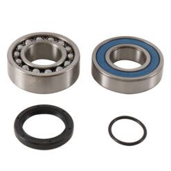 CHAIN CASE BEARING & SEAL KIT
