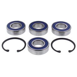 CHAIN CASE BEARING & SEAL KIT